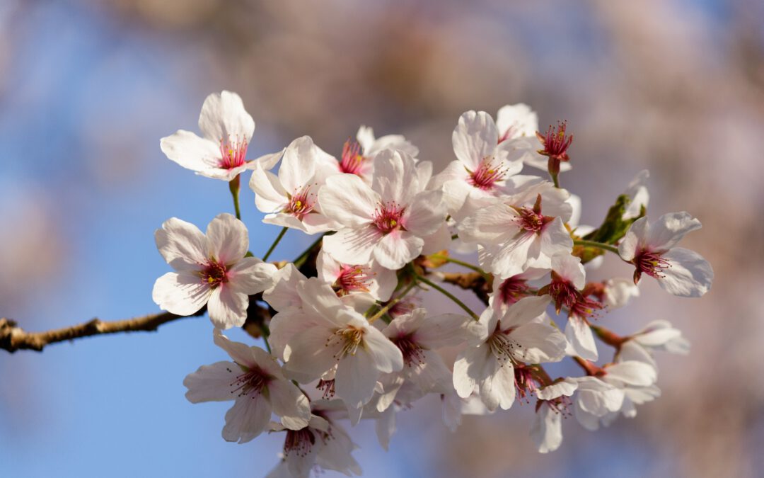 Mit Leichtigkeit in den Frühling