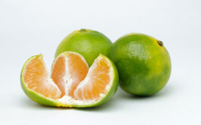 Dagmars Lieblingsöle: Green Mandarin