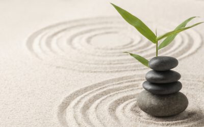 dōTERRA Balance: Dein Weg zu innerer Ruhe