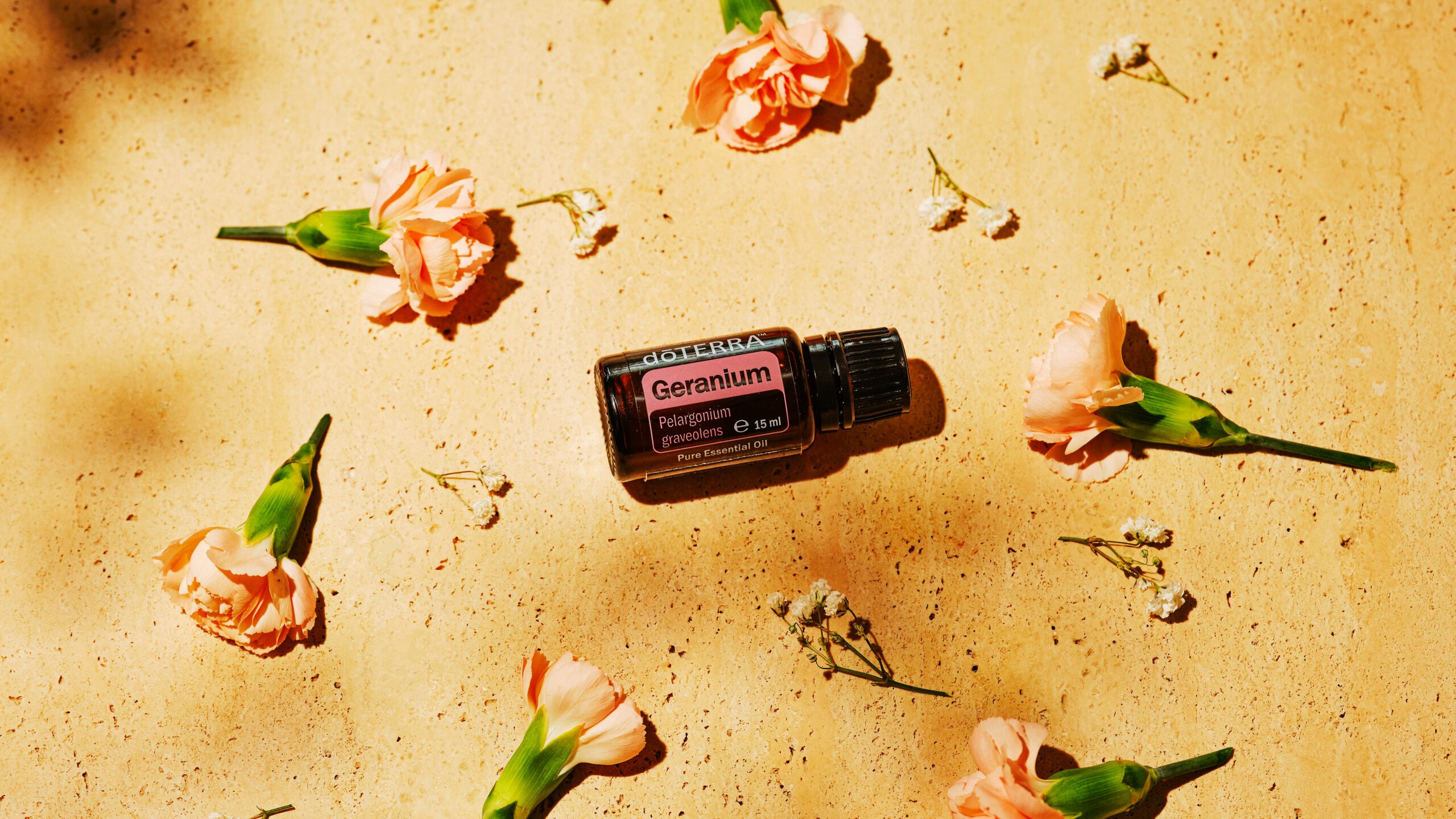 Geranium_050525_7 dōTERRA Geranium ist ein Allrounder für den Alltag.
