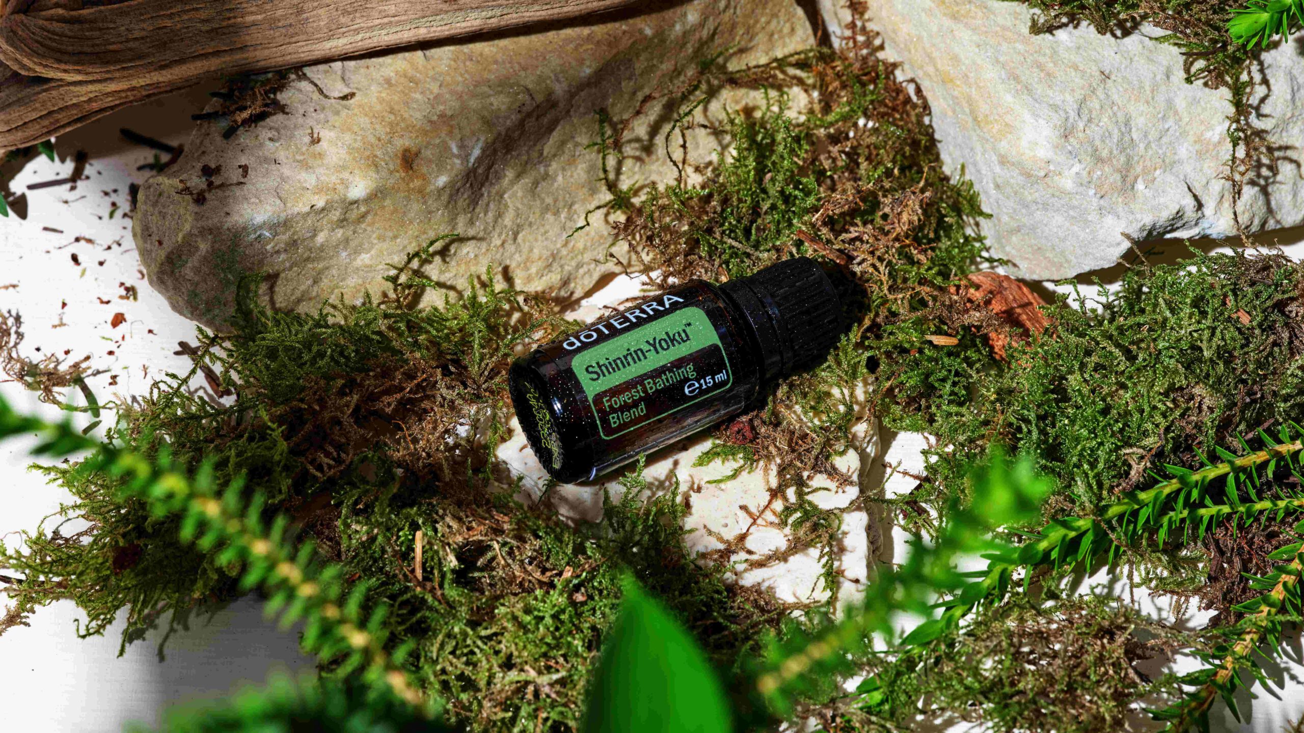 Die reine Shinrin-Yoku-Mischung (15 ml) von doterra– für den Diffuser und eigene Rezepturen. dōTERRA Shinrin-Yoku ätherische Ölmischung, 15-ml-Flasche, zwischen Moos, Stein und Holz drapiert